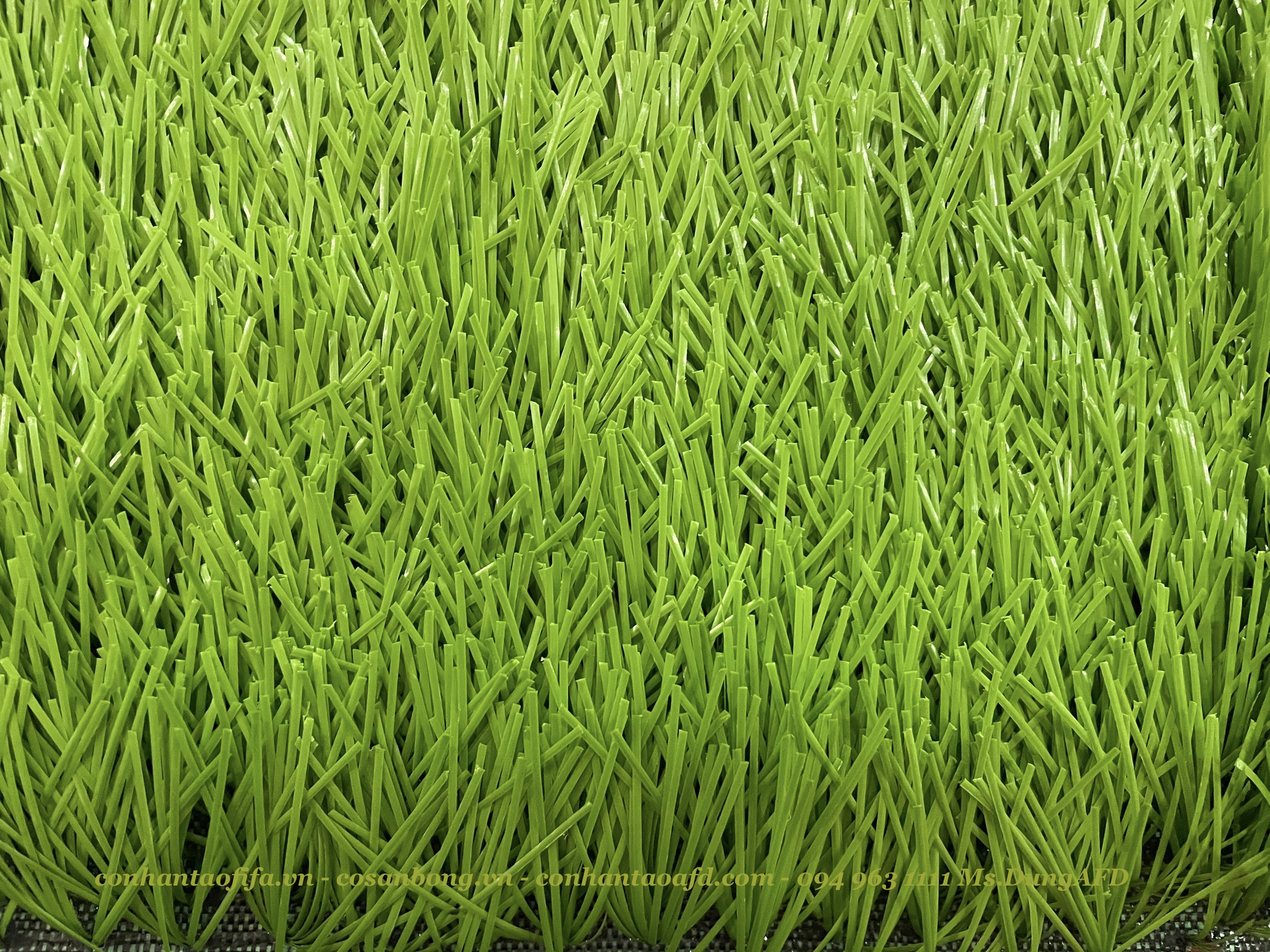Cỏ nhân tạo sân bóng AF2A- 170mũi
